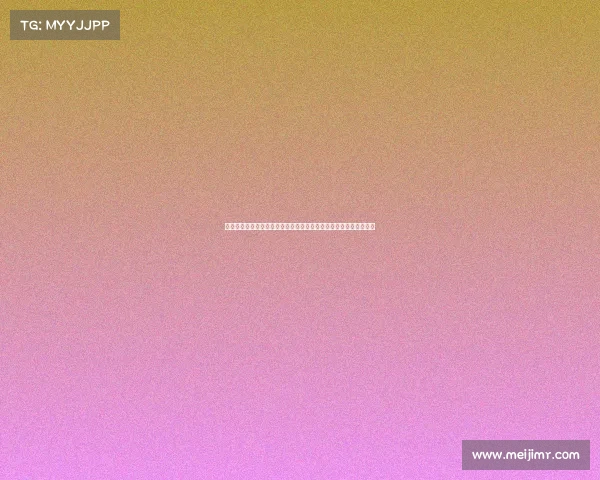 梅斯城市发展与历史文化的融合探析及其在现代化进程中的独特地位